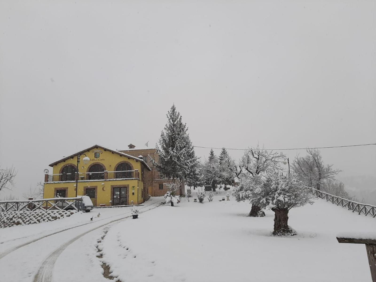 Agriturismo Antica Corte Montatteglia Exterior photo
