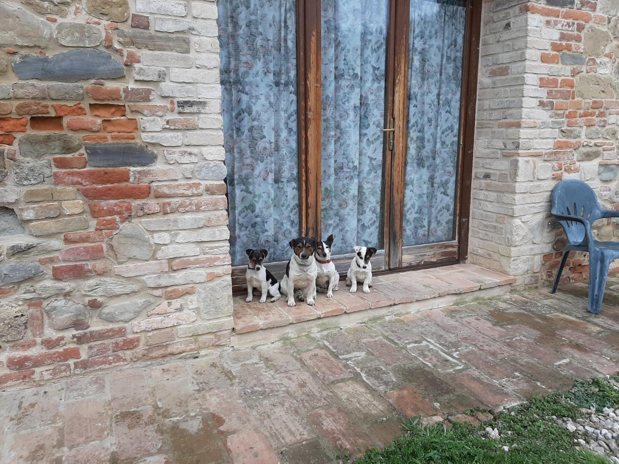 Agriturismo Antica Corte Montatteglia Exterior photo